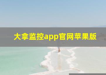 大拿监控app官网苹果版