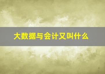 大数据与会计又叫什么