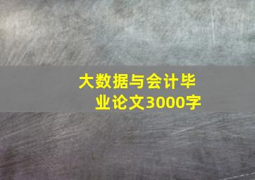 大数据与会计毕业论文3000字