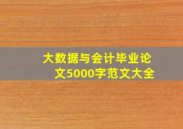 大数据与会计毕业论文5000字范文大全