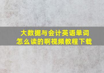 大数据与会计英语单词怎么读的啊视频教程下载