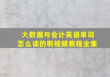 大数据与会计英语单词怎么读的啊视频教程全集