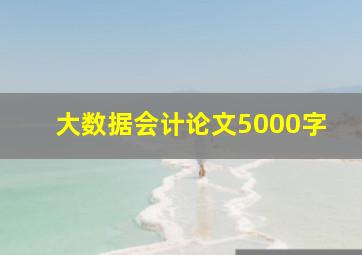 大数据会计论文5000字