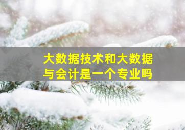 大数据技术和大数据与会计是一个专业吗