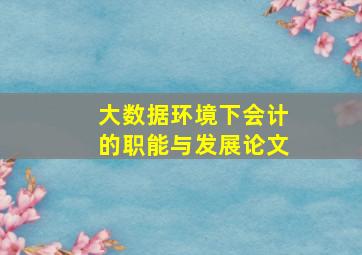 大数据环境下会计的职能与发展论文