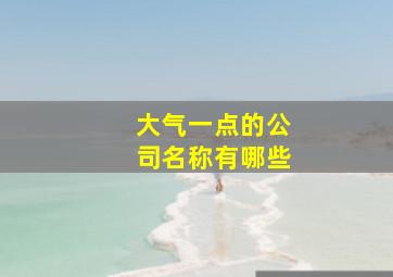 大气一点的公司名称有哪些