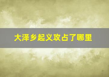 大泽乡起义攻占了哪里