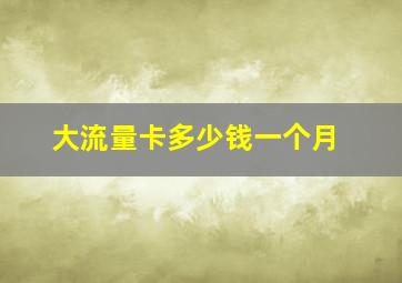 大流量卡多少钱一个月