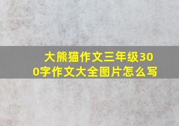 大熊猫作文三年级300字作文大全图片怎么写