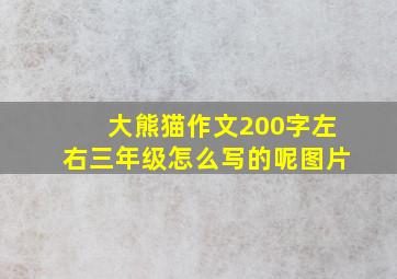 大熊猫作文200字左右三年级怎么写的呢图片