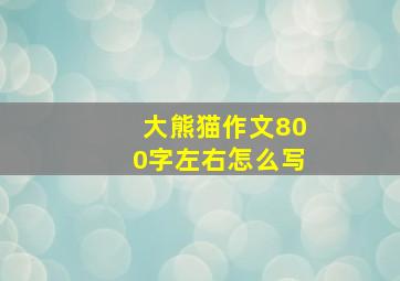 大熊猫作文800字左右怎么写