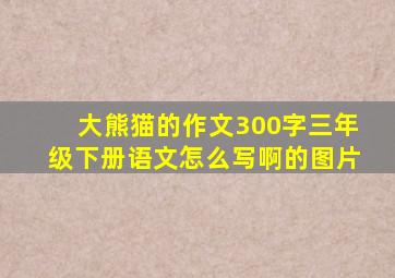 大熊猫的作文300字三年级下册语文怎么写啊的图片