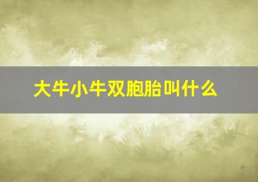 大牛小牛双胞胎叫什么