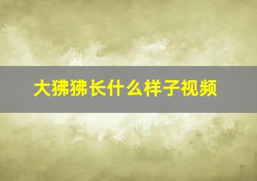 大狒狒长什么样子视频