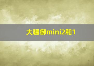 大疆御mini2和1