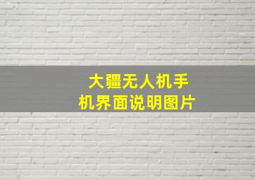 大疆无人机手机界面说明图片