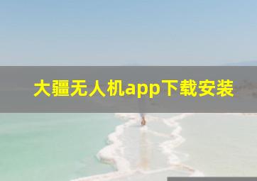 大疆无人机app下载安装