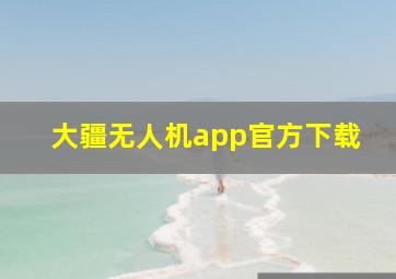 大疆无人机app官方下载