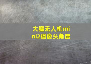 大疆无人机mini2摄像头角度