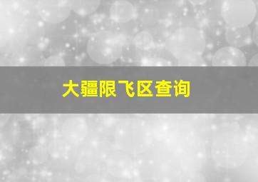 大疆限飞区查询