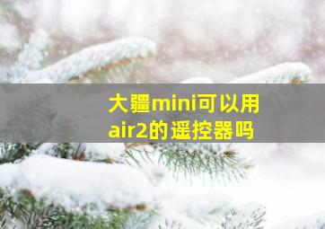 大疆mini可以用air2的遥控器吗