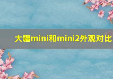 大疆mini和mini2外观对比