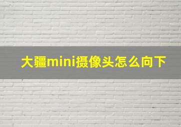 大疆mini摄像头怎么向下