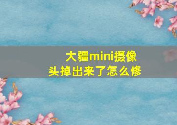 大疆mini摄像头掉出来了怎么修