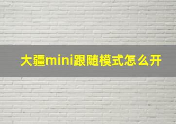 大疆mini跟随模式怎么开