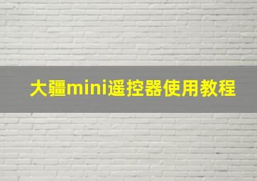 大疆mini遥控器使用教程