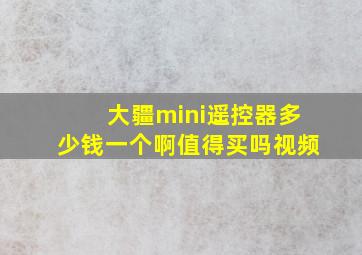 大疆mini遥控器多少钱一个啊值得买吗视频