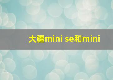 大疆mini se和mini