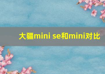 大疆mini se和mini对比