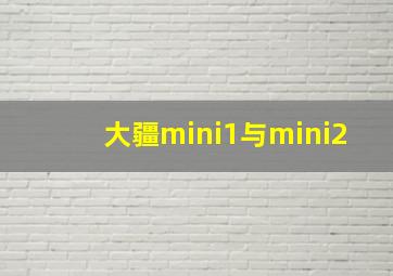 大疆mini1与mini2