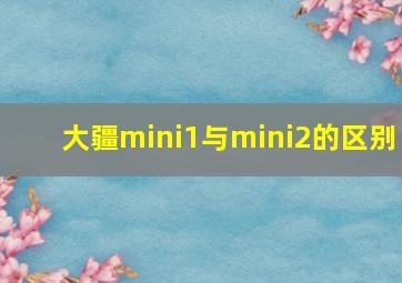 大疆mini1与mini2的区别