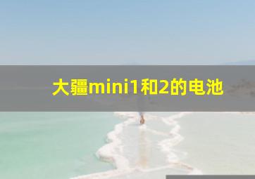 大疆mini1和2的电池