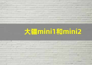 大疆mini1和mini2