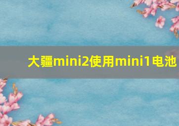 大疆mini2使用mini1电池