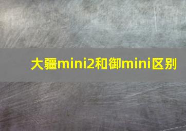 大疆mini2和御mini区别