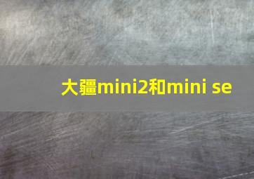 大疆mini2和mini se