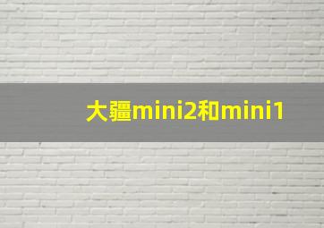 大疆mini2和mini1