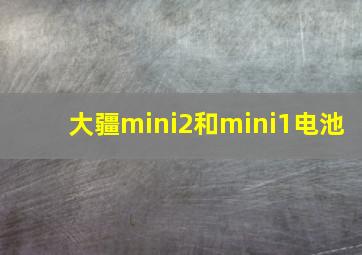 大疆mini2和mini1电池