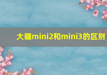 大疆mini2和mini3的区别