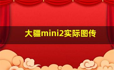 大疆mini2实际图传