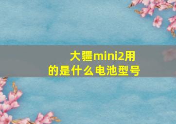 大疆mini2用的是什么电池型号