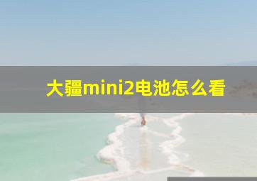 大疆mini2电池怎么看