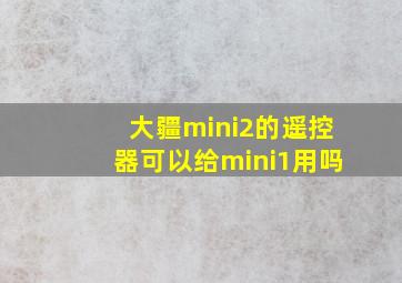 大疆mini2的遥控器可以给mini1用吗