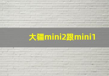 大疆mini2跟mini1