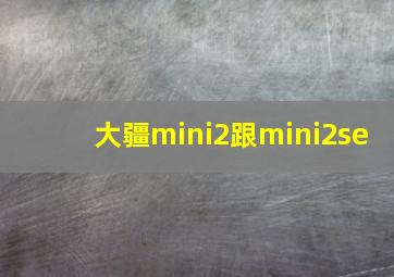 大疆mini2跟mini2se