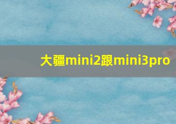 大疆mini2跟mini3pro